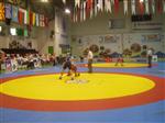 3.TURK D�NYASI G�RE� TURNUVASI M�SABAKALARINDAN B�R G�R�N�M